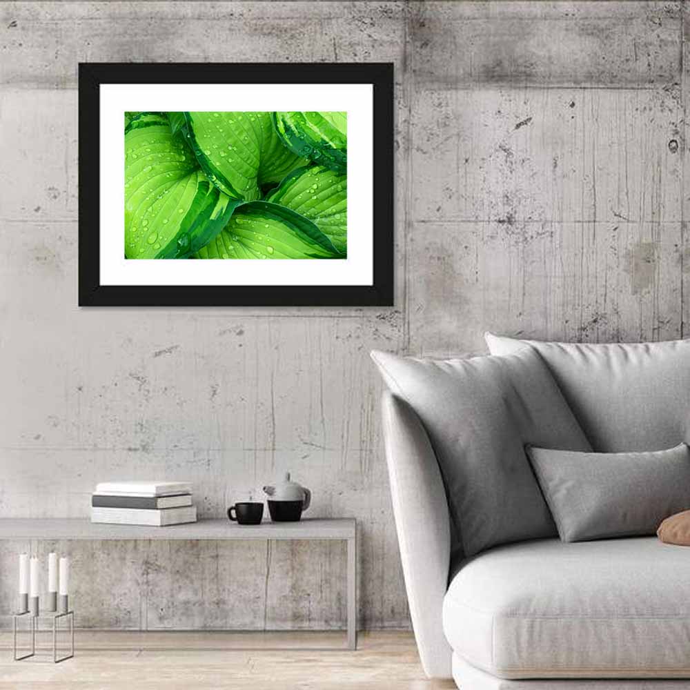 Dewy Hosta Leaves Wall Art