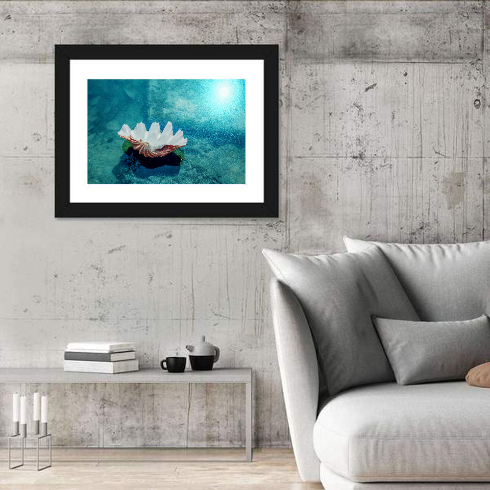 Giant Clam Shell Wall Art in a room, landscape