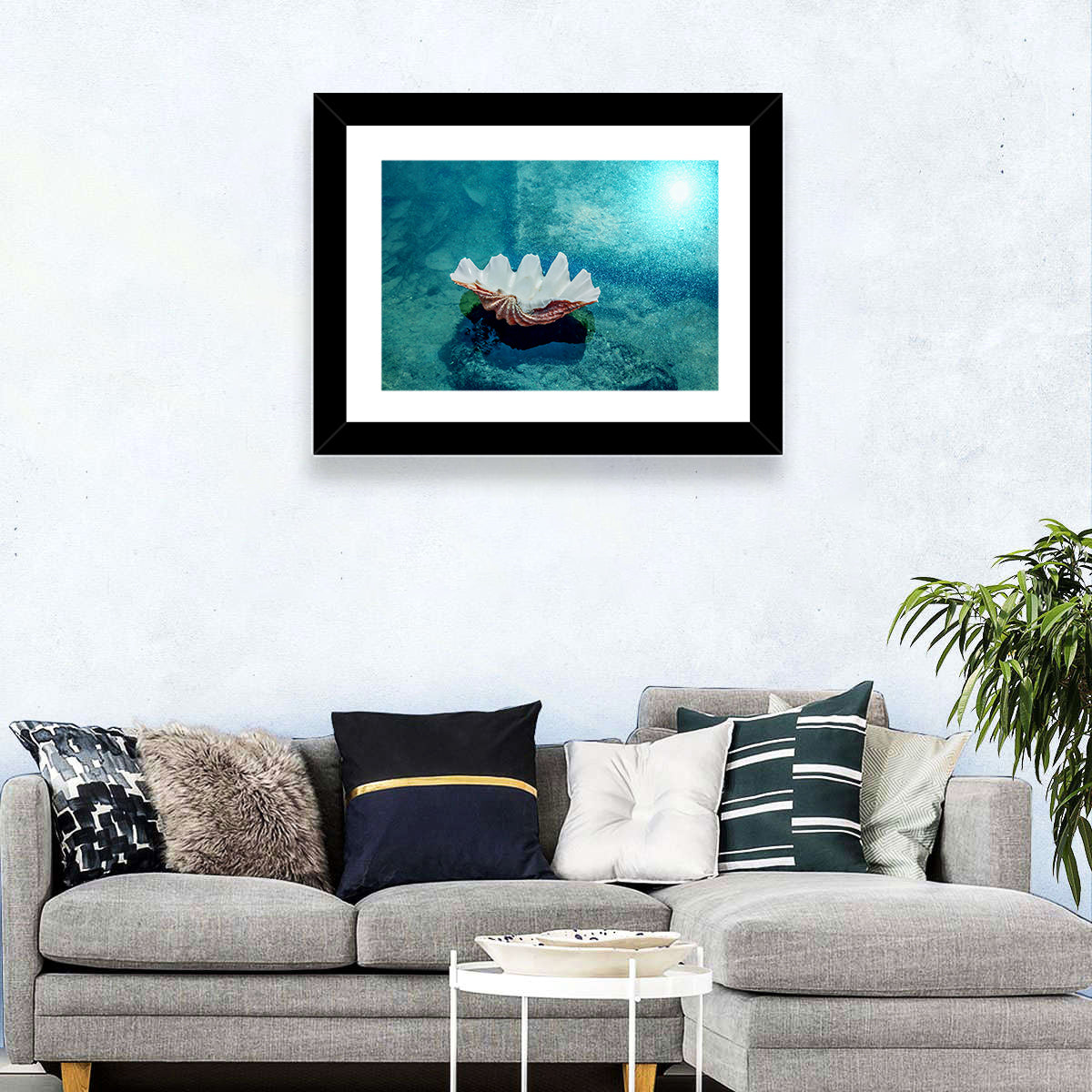 Giant Clam Shell Wall Art