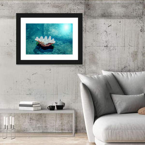 Beach Shell Wall Art