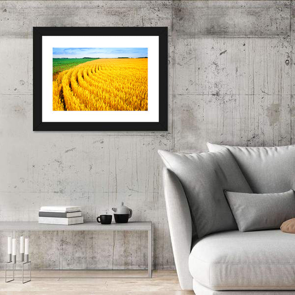Summer Wheat Field with Curved Paths Wall Art