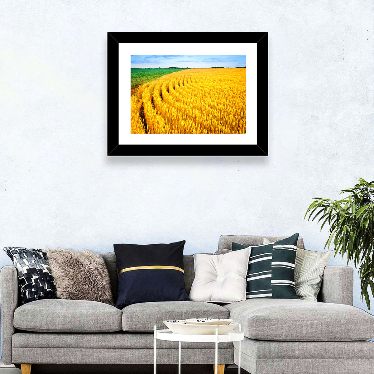 Summer Wheat Field with Curved Paths Wall Art