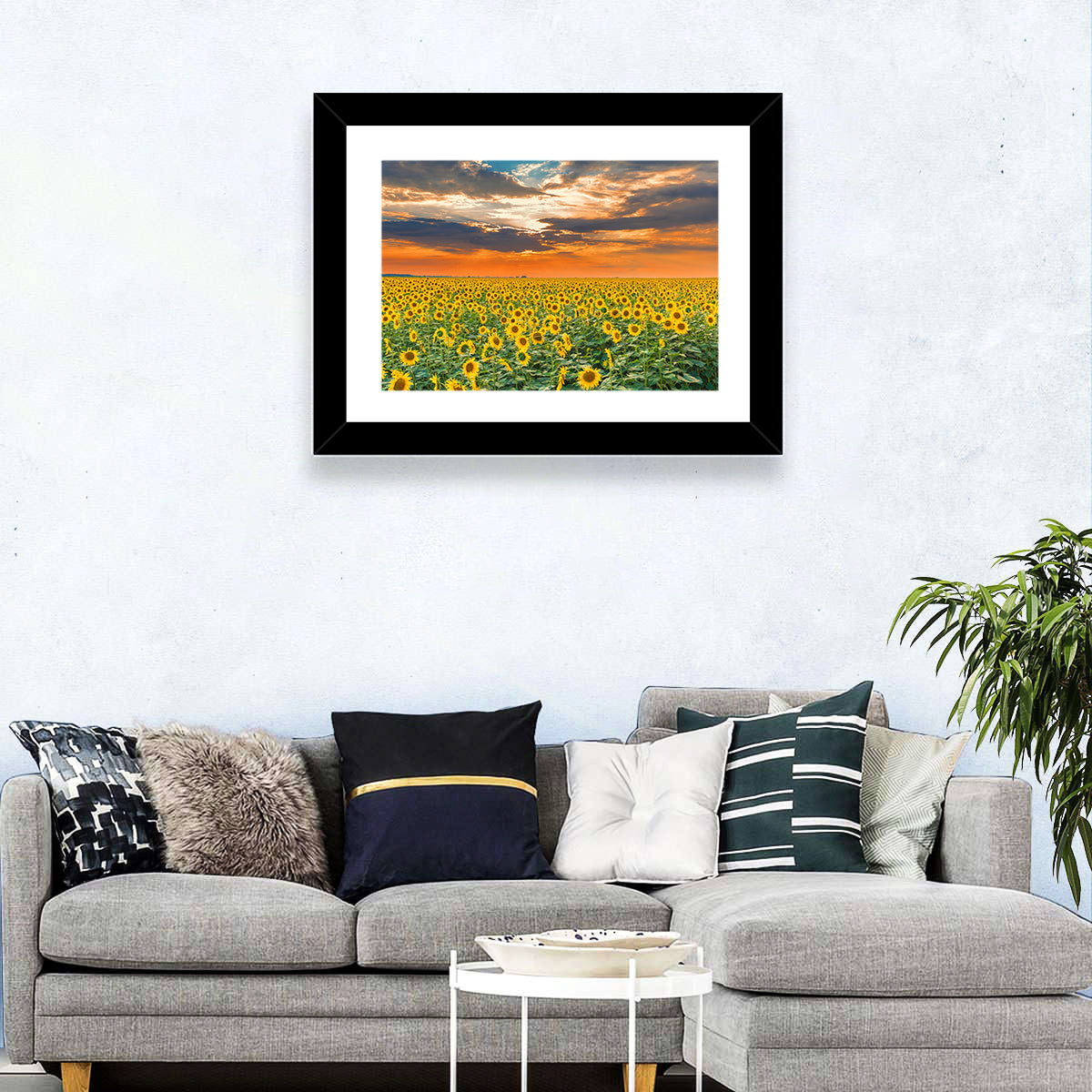 Golden Hour Sunflower Field Wall Art