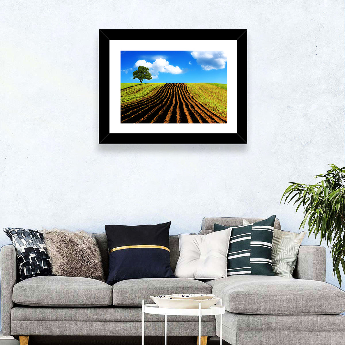 Plowed Field with Lone Tree Wall Art