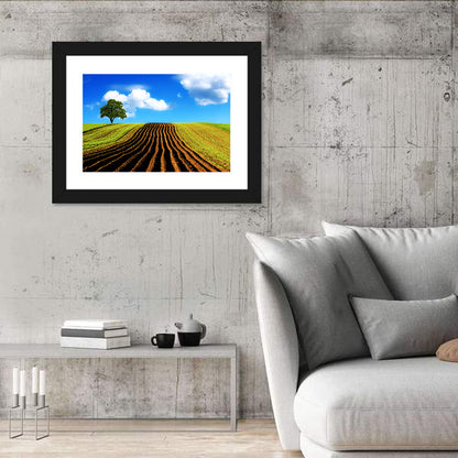 Plowed Field with Lone Tree Wall Art
