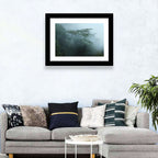 Misty Rainforest Canopy Wall Art