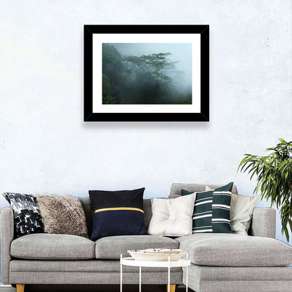 Misty Rainforest Canopy Wall Art