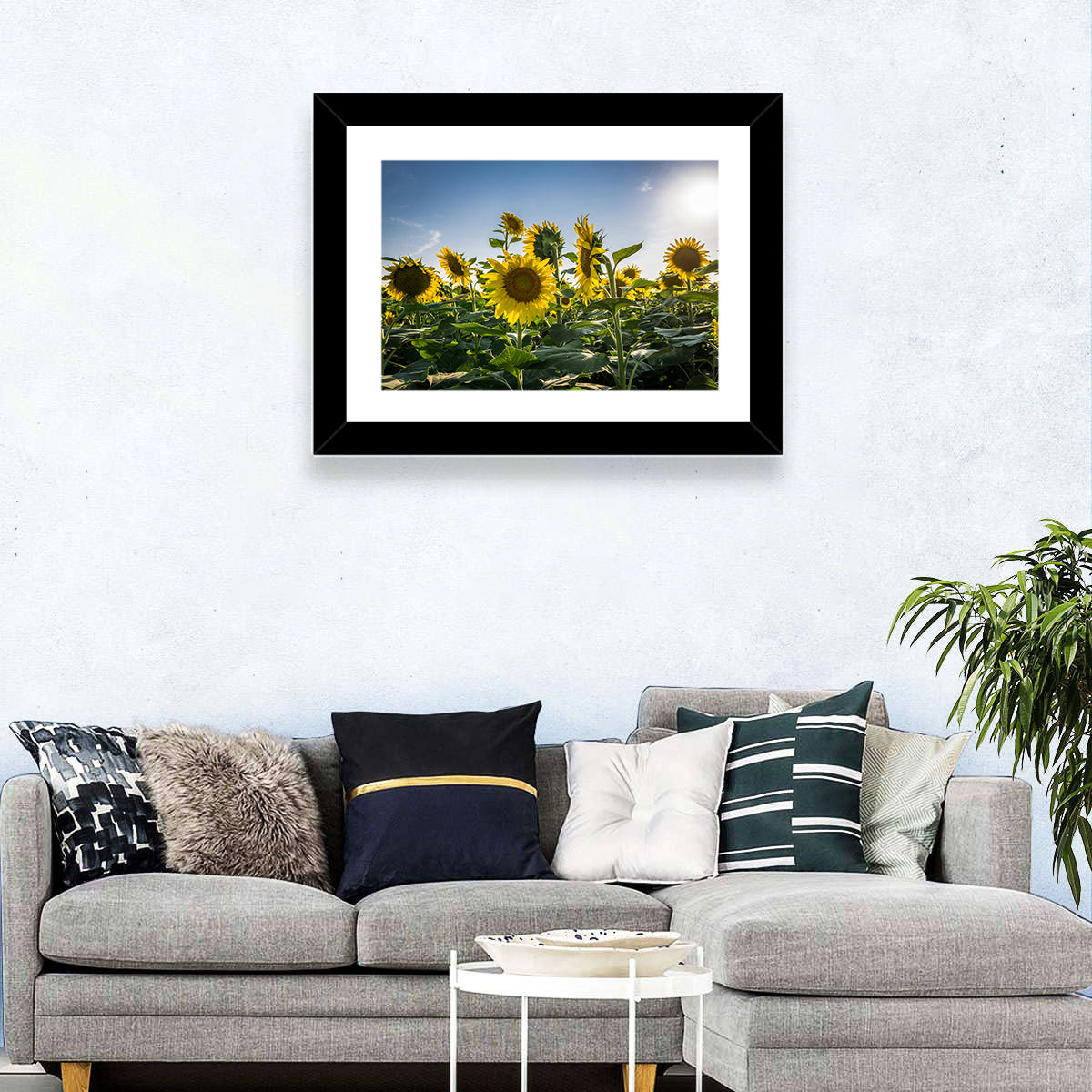 Backlit Sunflower Field Wall Art