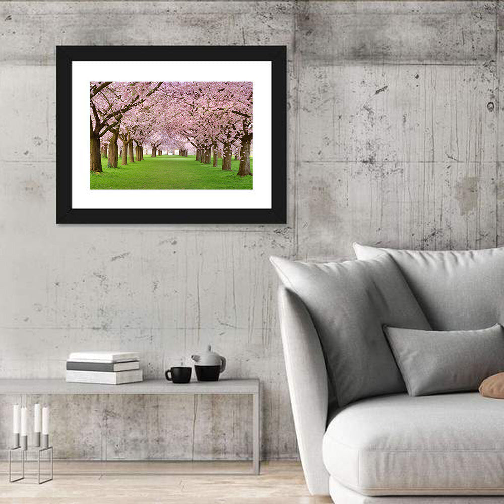 Cherry Blossom Avenue Wall Art