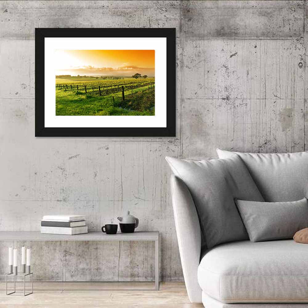 Barossa Valley Vineyard at Sunrise Wall Art in a room, landscape