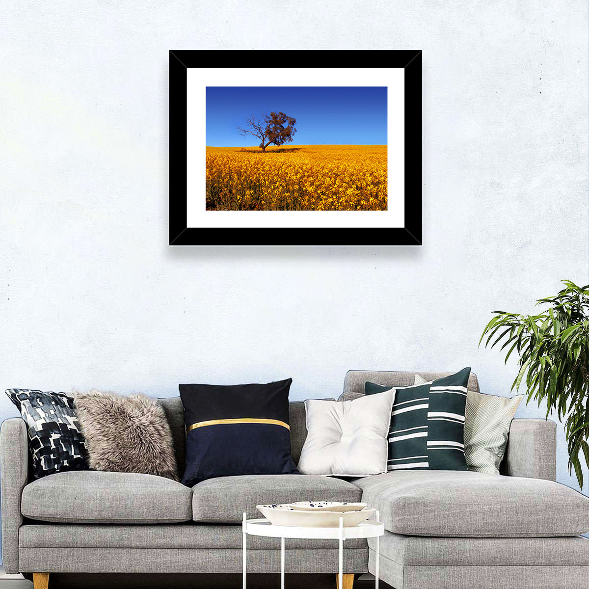 Canola Field with Lone Tree Wall Art