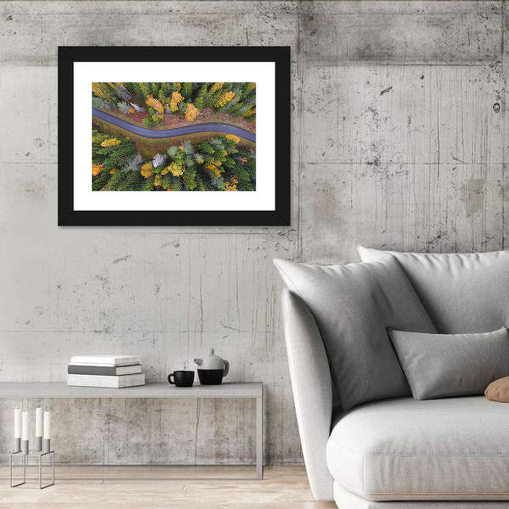 Aerial Autumn Forest Road Wall Art