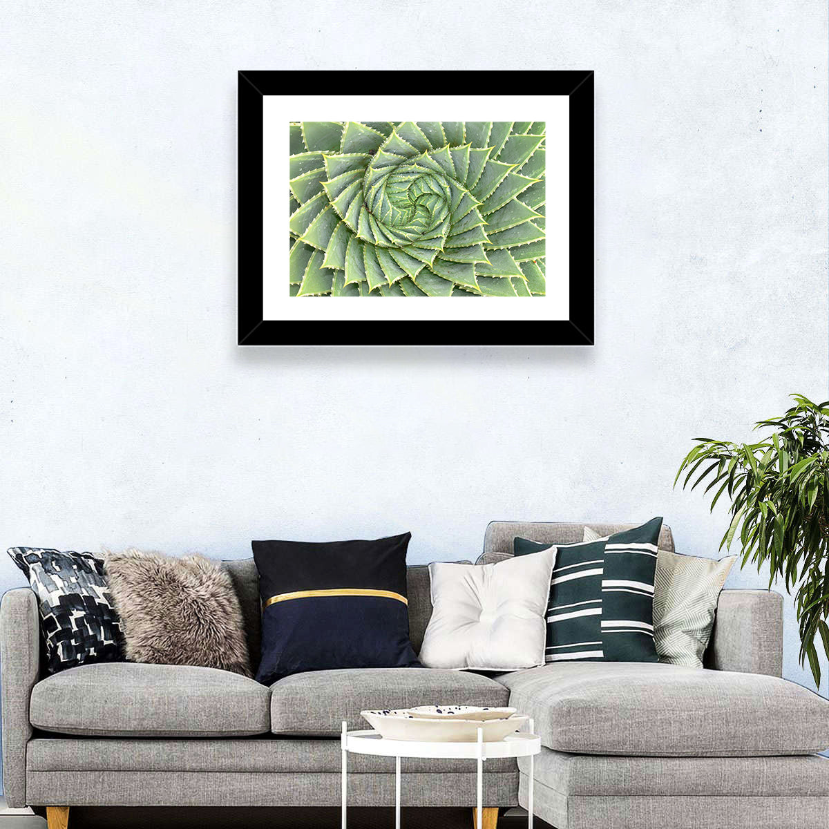 Spiral Aloe Close-up Wall Art