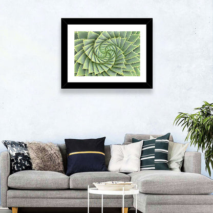 Spiral Aloe Close-up Wall Art