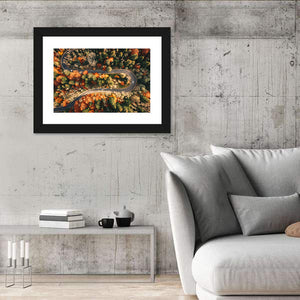 Winding Autumn Forest Road Wall Art