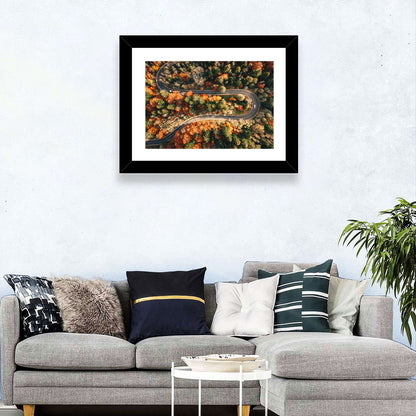 Aerial Winding Autumn Forest Road Wall Art