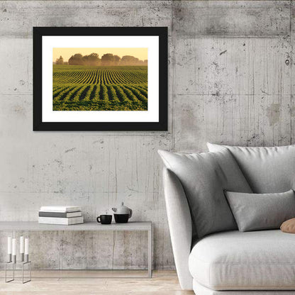 Misty Soybean Field at Dusk Wall Art