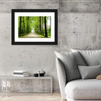 Sunlit Tree-lined Path Wall Art
