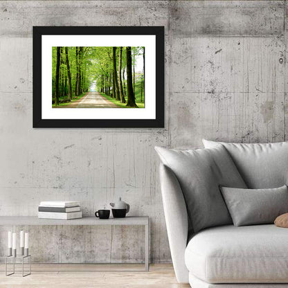Sunlit Tree-lined Path Wall Art