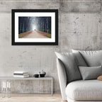Foggy Tree Lined Walkway in Autumn Wall Art