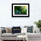 Seedling Growth Stages Wall Art