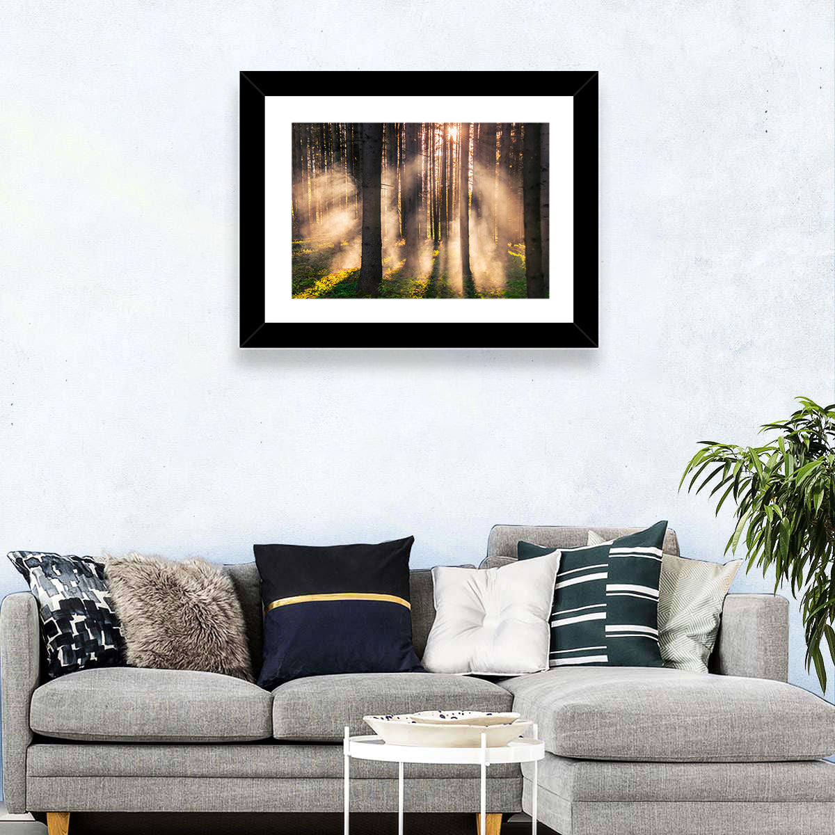 Sunrise Through Misty Forest Wall Art