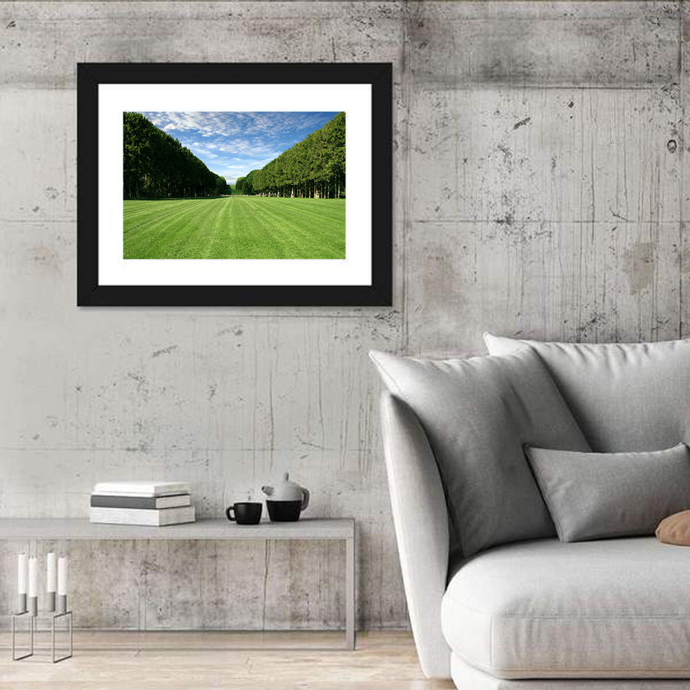 Tree-lined Manicured Lawn Wall Art in a room, landscape