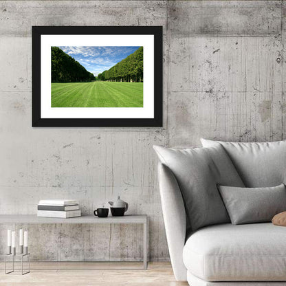 Tree-lined Manicured Lawn Wall Art