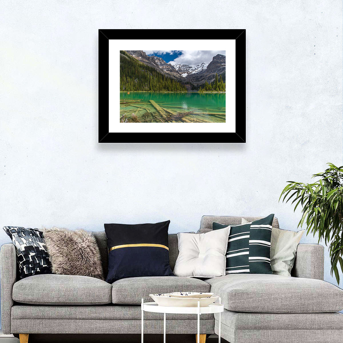 Lake O'hara Reflection Wall Art