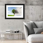Summer to Winter Split Tree Wall Art