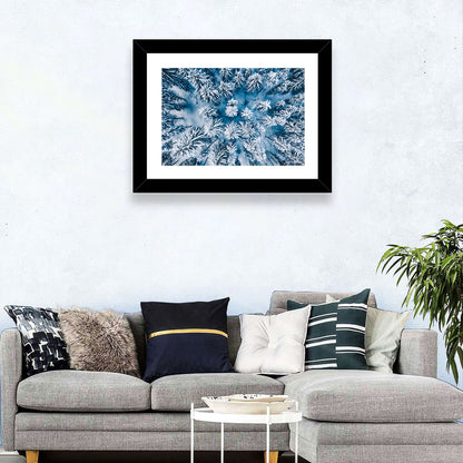 Aerial Snowy Evergreen Canopy Wall Art