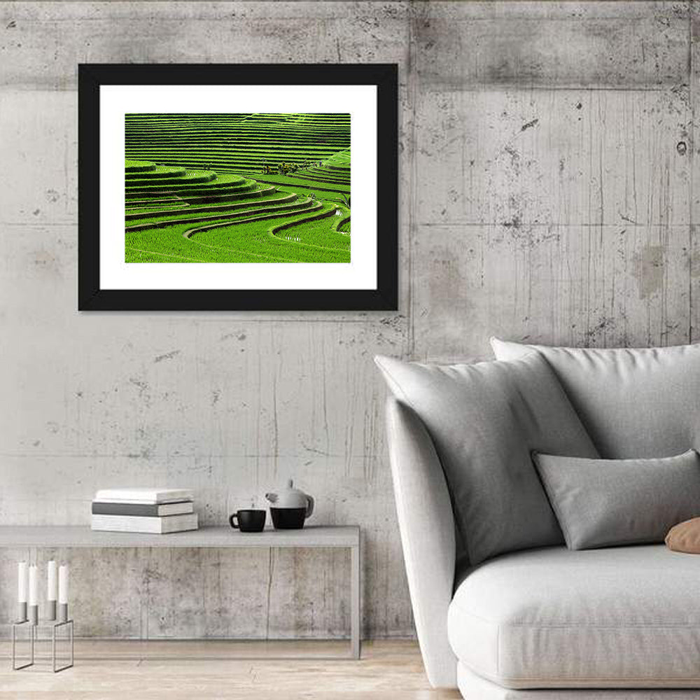 Lush Rice Terraces Wall Art in a room, landscape