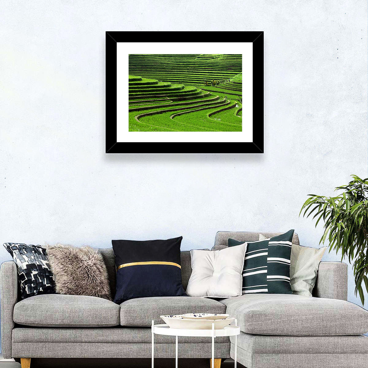 Lush Rice Terraces Wall Art