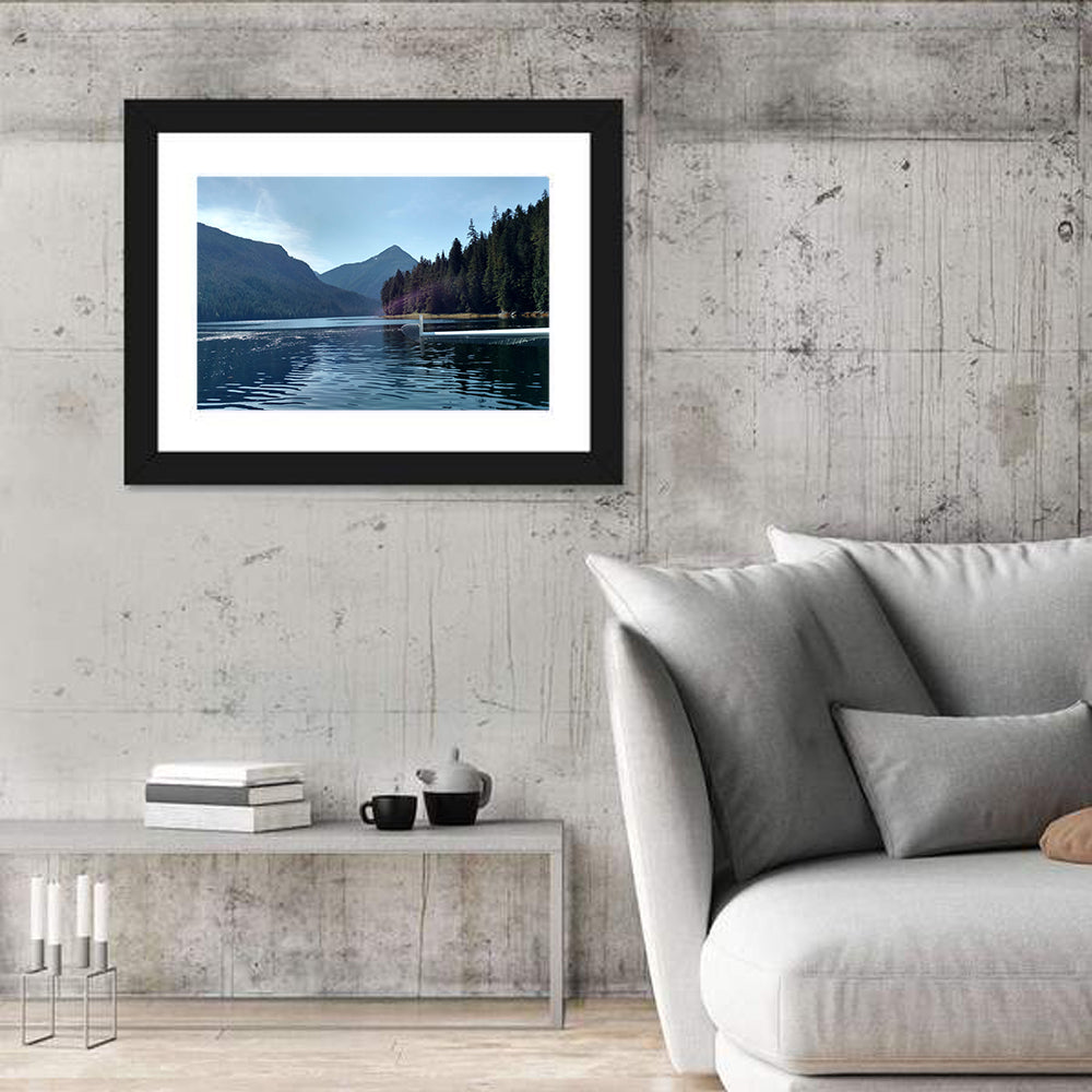 Tongass National Forest Seaplane View Wall Art