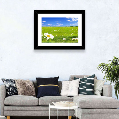 Spring Daisy Meadow Wall Art