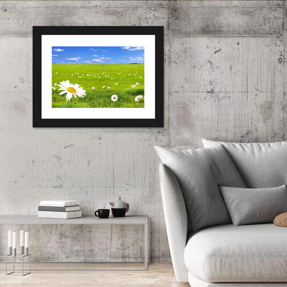 Spring Daisy Meadow Wall Art