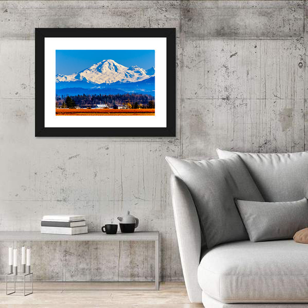 Mount Baker Fields Wall Art