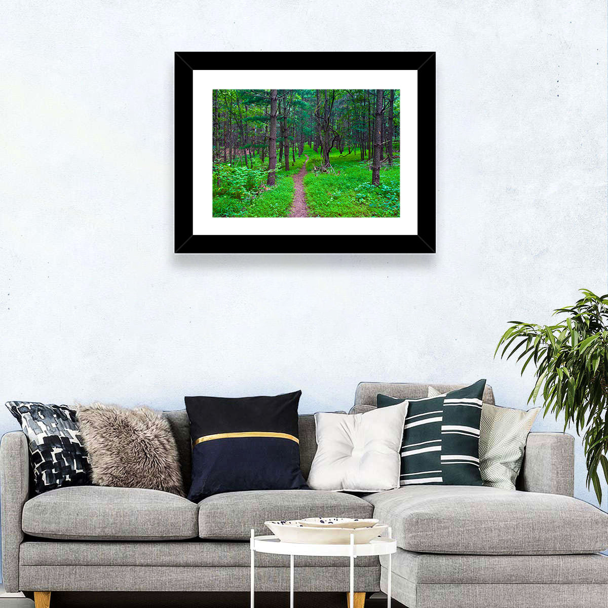 Lush Virginia Forest Trail Wall Art
