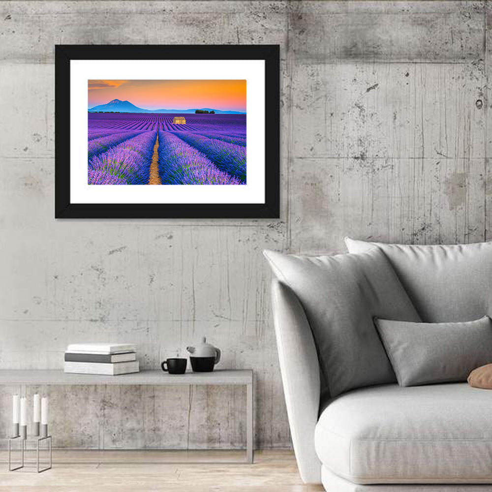 Valensole Lavender Fields at Sunset Wall Art