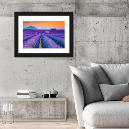 Valensole Lavender Fields at Sunset Wall Art