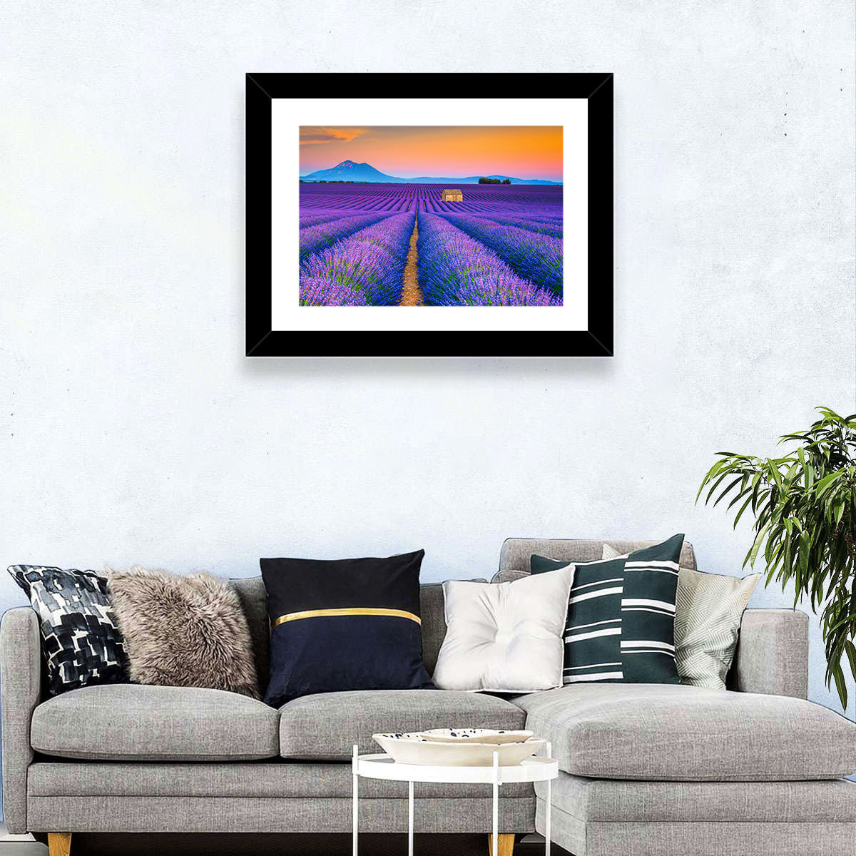 Valensole Lavender Fields at Sunset Wall Art