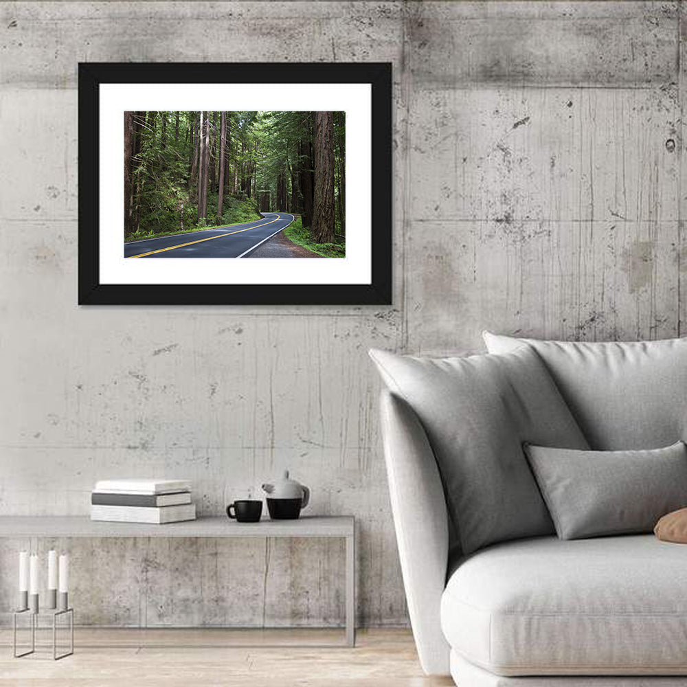 Winding Redwood Forest Road Wall Art
