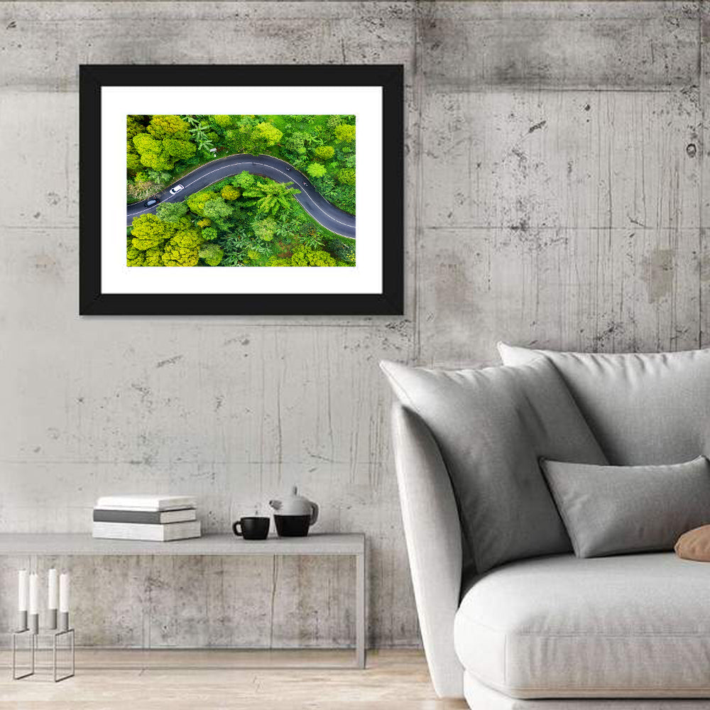 Winding Tropical Forest Road Wall Art in a room, landscape