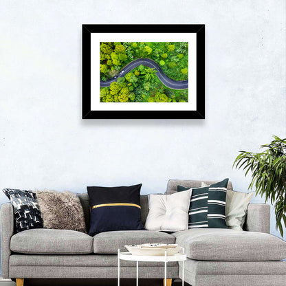 Winding Tropical Forest Road Wall Art