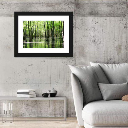 Sunlit Swamp Forest Wall Art