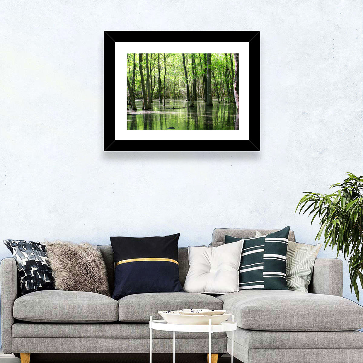 Sunlit Swamp Forest Wall Art