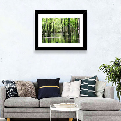 Sunlit Swamp Forest Wall Art