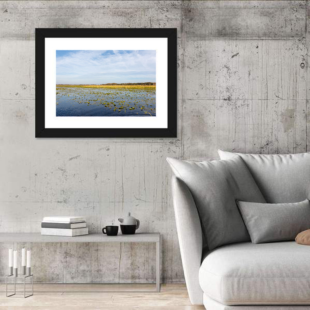 Lake Toho Lily Pads Wall Art