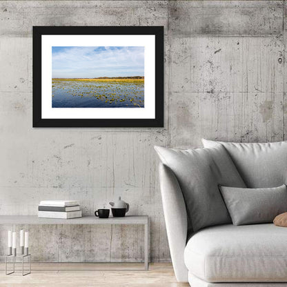 Lake Toho Lily Pads Wall Art