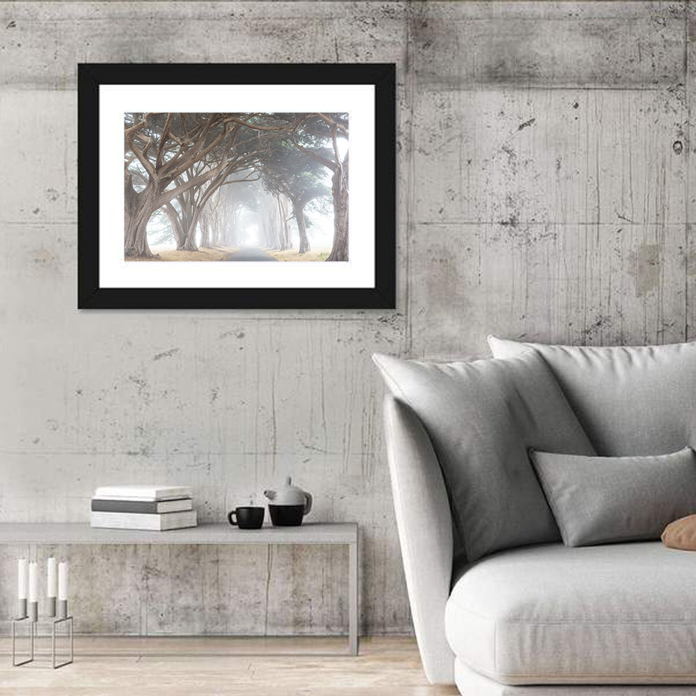 Misty Cypress Tunnel Wall Art